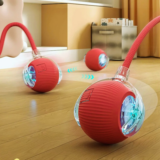 ChaseMate™ – your pet’s new playtime buddy.